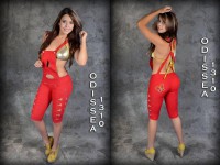 PIRATA (PETO) LEVANTA GLÚTEO PUSH UP